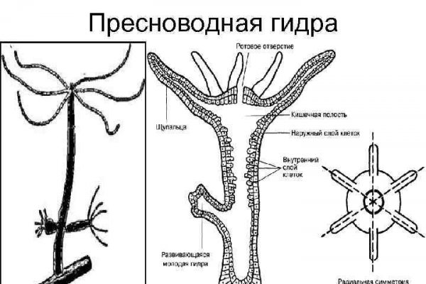 Кракен ссылка тор браузер